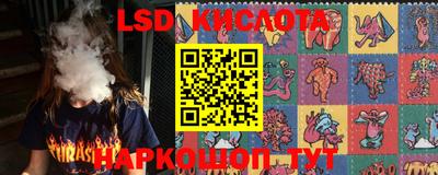 дживик Сланцы