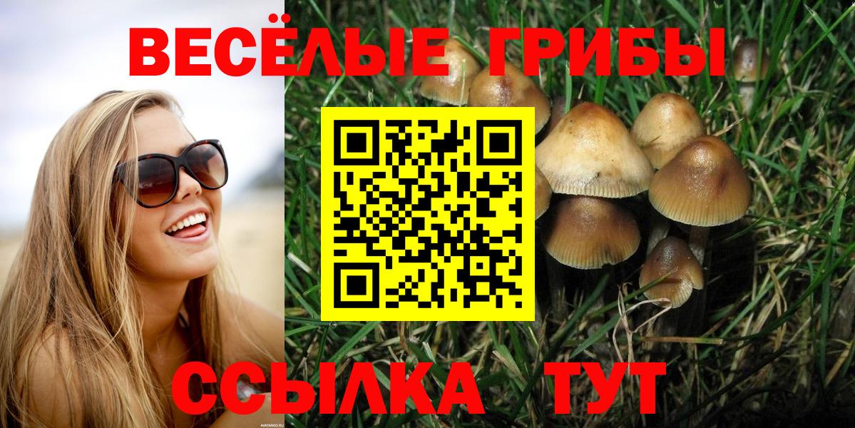 Псилоцибиновые грибы Cubensis  Вход с VPN  Псилоцибиновые грибы GOLDEN TEACHER  Благовещенск 